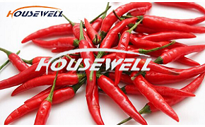 豪森維爾辣椒烘干機